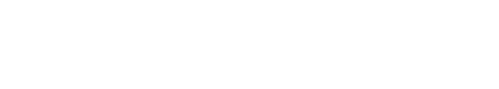 NerveVitali Logo